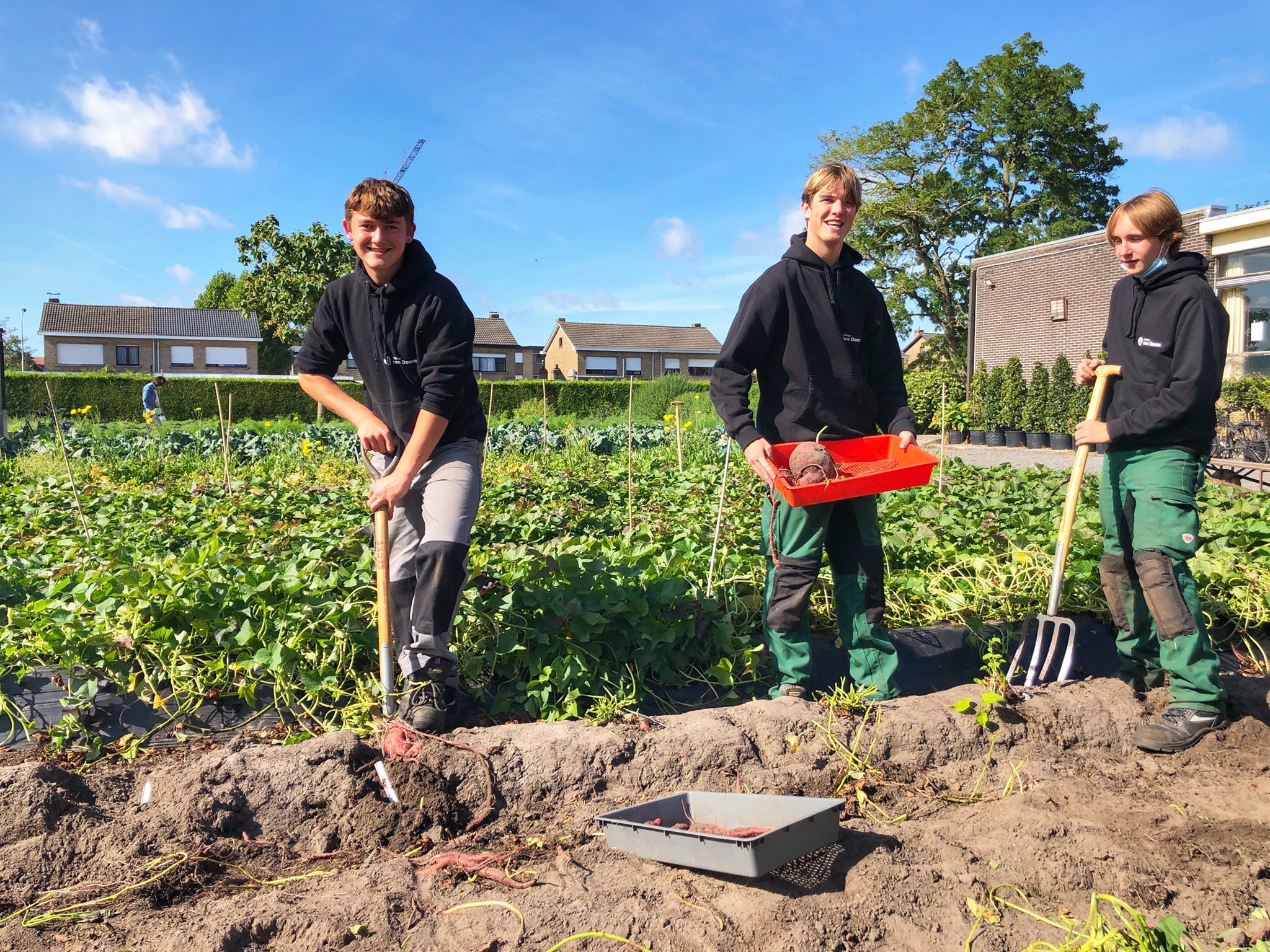 Tuinbouw - leerling aan het werk op veld