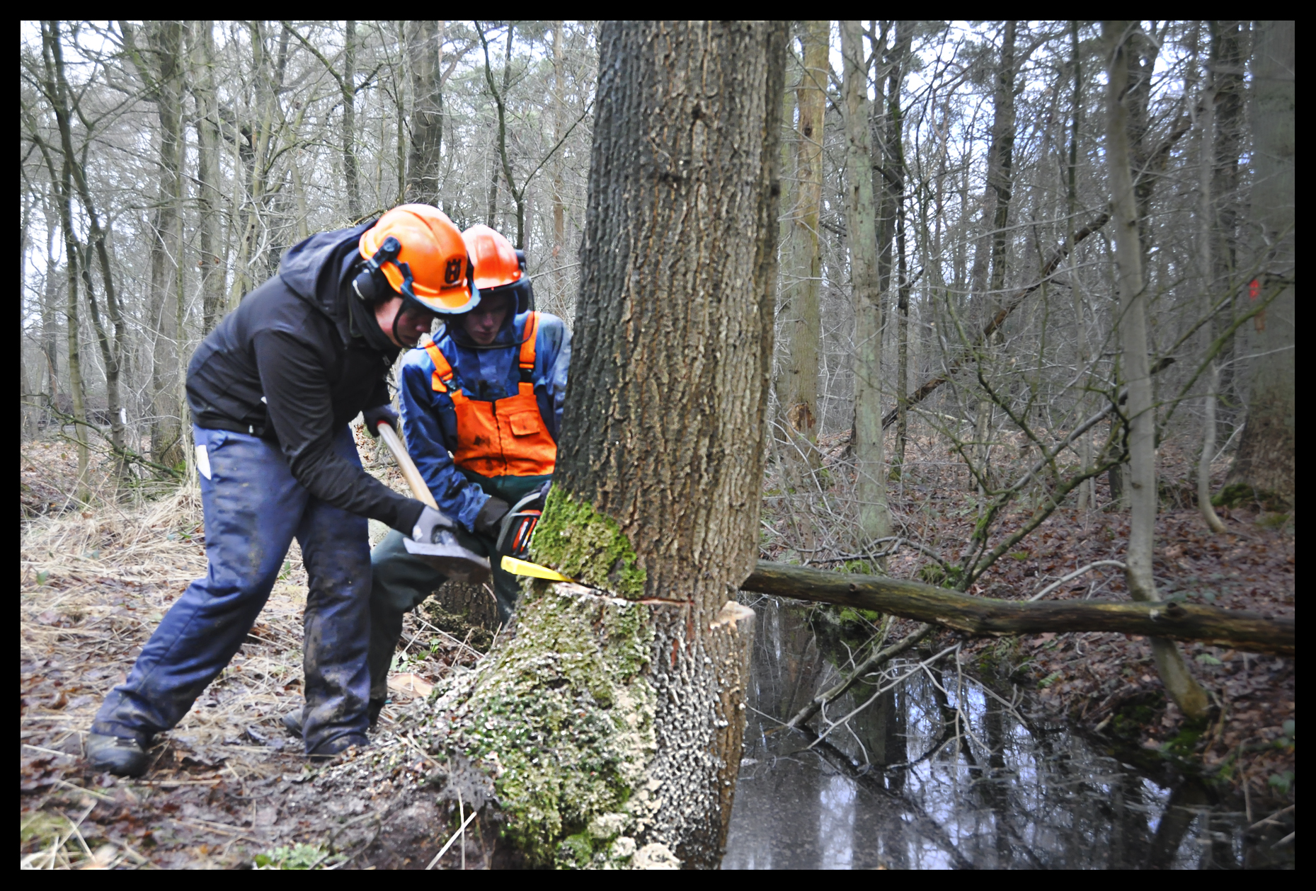 leerlingen met kettingzaag aan de slag