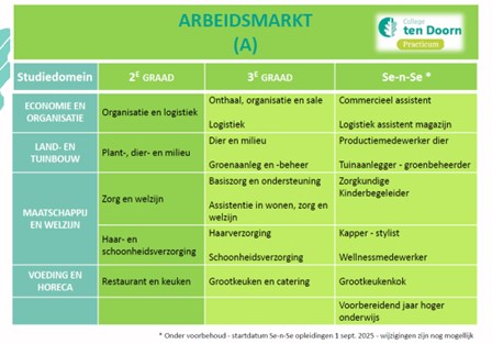 schema studieaanbod practicum