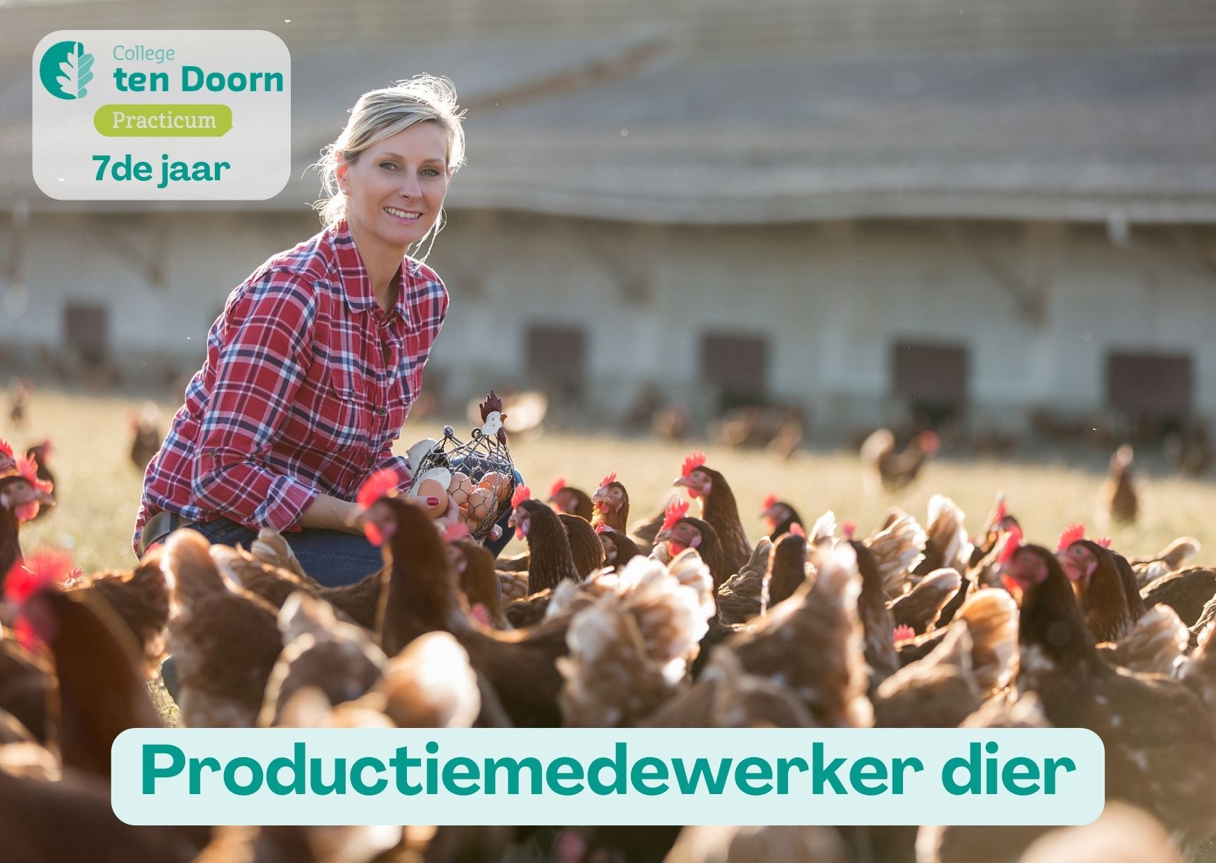 productiemedewerker dier
